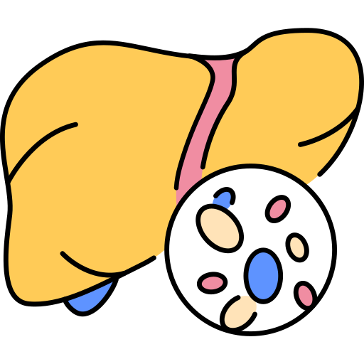 Fatty Liver